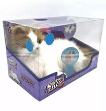 Carica l'immagine nel visualizzatore di Gallery, lulù tutte coccole furreal friends il mio gattino coccoloso Nuovo Old Stock