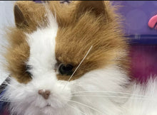 Carica l'immagine nel visualizzatore di Gallery, lulù tutte coccole furreal friends il mio gattino coccoloso Nuovo Old Stock