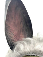 Load image into Gallery viewer, Image #3
