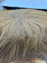 Load image into Gallery viewer, Detail close-up of Betsy Belle plush lion toy featuring textured fur.
