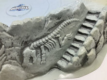 Carica l'immagine nel visualizzatore di Gallery, DINOFROZ arena base playset detail close-up featuring stair-like pattern and fossil design in gray and blue.
