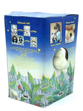 Carica l'immagine nel visualizzatore di Gallery, Colorful packaging box with illustrated design and text descriptions.
