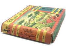 Load image into Gallery viewer, Pimea Chalet toy bird house packaging side view featuring colorful landscape scene.
