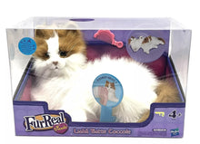 Load image into Gallery viewer, lulù tutte coccole furreal friends my cuddlin kitty New Old Stock
