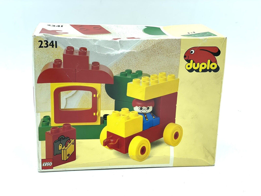 1991 DUPLO LEGO Peter's Holiday Building Set 234